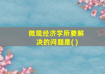 微观经济学所要解决的问题是( )